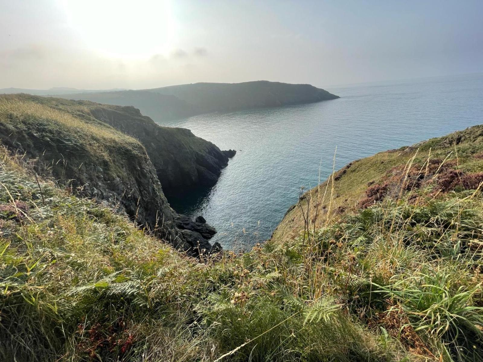 Trefechan Wen Barn Llanwnda  Bagian luar foto